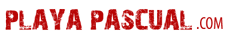 logo-playa-229×40