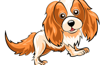 Agroveterinaria Del Plata