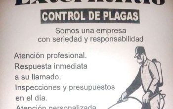 Exterminio Control De Plagas