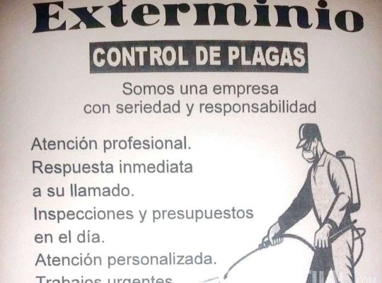 Exterminio Control De Plagas