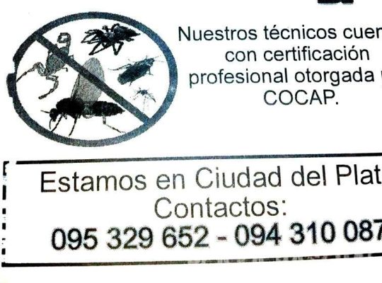 Exterminio Control De Plagas