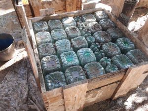 que hacer con la basura 01